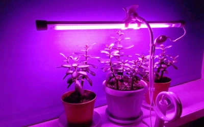 Не все лампы одинаково полезны: как выбрать правильный спектр для рассады и домашних растений без ошибок