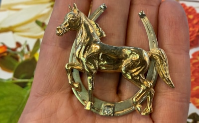 Год, который случается раз в 60 лет: какие талисманы принесут удачу каждому знаку зодиака в период правления Огненной Лошади