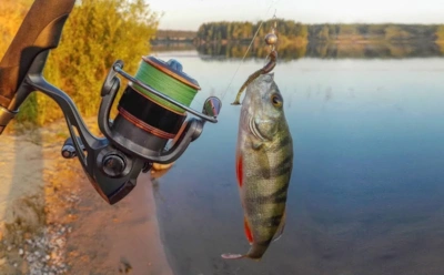 Окунь перестал клевать — но этот трюк спас ситуацию: всего одна деталь на снасти меняет все