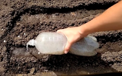 Морковь без нервов и прореживаний: дачники придумали посев, который экономит часы работы