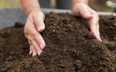 Другие готовятся к праздникам, а мы — к новому сезону: как декабрьская подготовка грунта решает судьбу рассады