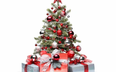 Елка — больше, чем декор: какие цвета и игрушки принесут удачу в год Огненной Лошади