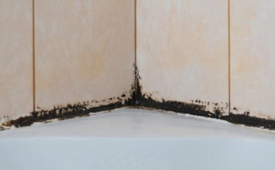 Хлорка отбеливает, а грибок смеется: чем на самом деле стоит обрабатывать плитку в ванной