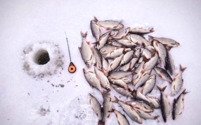 Зимняя рыбалка не терпит летних привычек: как правильно шевелить плотву в мороз, чтобы не остаться без улова