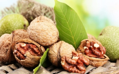 Дорого покупаем — быстро теряем: где и как хранить орехи, чтобы они не испортились