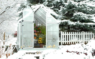 Теплица без отопления удивляет результатом: что сажают и собирают дачники посреди зимы