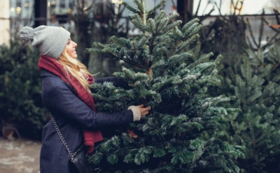 Пышная с виду — не значит свежая: на что смотреть при покупке живой елки, кроме цены