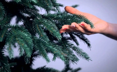 Зеленая до конца января — реально: простые правила ухода за живой елкой