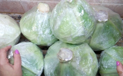 Капуста доживает до весны без погреба: куда спрятать кочаны в квартире, чтобы не сгнили и не засохли