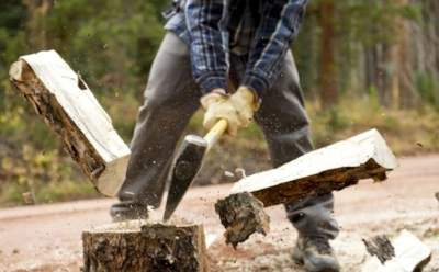 Бесплатные дрова или уголовное дело: где проходит граница, о которой забывают тысячи россиян