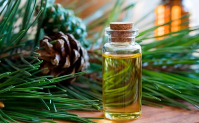 Елки нет, а праздник есть: как наполнить дом хвойным ароматом без живой сосны и лишних затрат