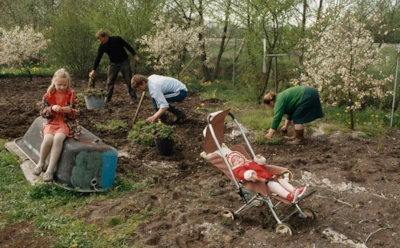 Спасибо, помогли — больше так не делайте: почему чужая помощь на участке не всегда к месту