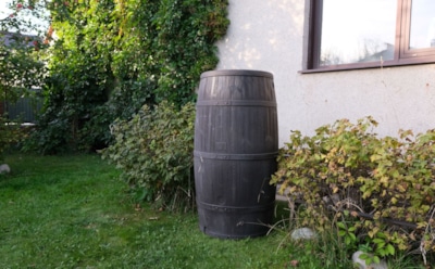 Огородная польза в жидком виде: старый компостный секрет с новым эффектом