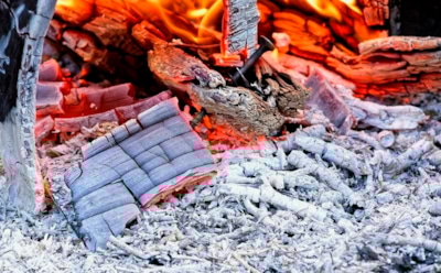 Печь погасла, а польза осталась: зачем опытные хозяева хранят золу круглый год