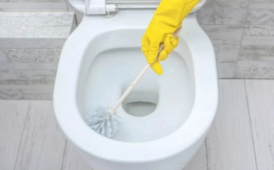 Чистота достигается не силой, а реакцией — химической: как обновить санузел за считаные минуты