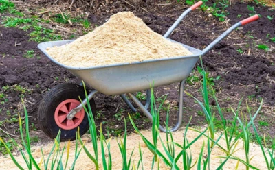 Тяжелая почва и сорняки больше не помешают: как обычные опилки меняют грядки