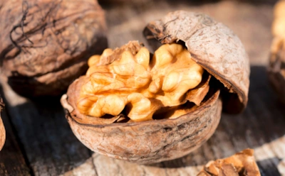 Горсть орехов в день изменит ваш мозг: почему их называют лучшим топливом