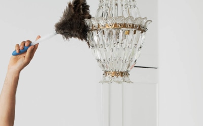 Эти вещи в доме опаснее мусорного ведра: вот где скапливаются бактерии