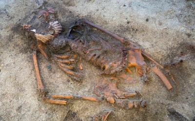 Так не хоронили никогда: загадка могилы викингов, о которой спорят ученые