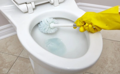 Всего одна таблетка — и унитаз как новый: дешевый и эффективный способ без химии