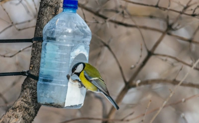 Делаем за 5 минут кормушку из старой бутылки: птицы точно переживут морозы