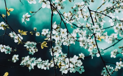 Снег уже надоел: какая погода ждет нас в марте 2026-го