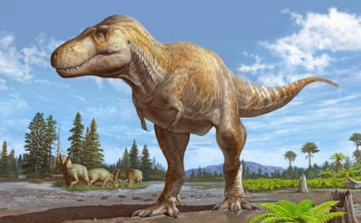 Миф о росте тираннозавра разрушен: как кости выдали правду о взрослении ящера