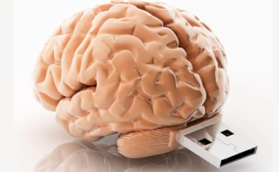 Как прокачать память на годы вперед: рабочие методы для детей, взрослых и пожилых