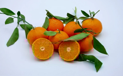 Недозрелые мандарины — клад для здоровья: в чем зеленые плоды выигрывают у спелых