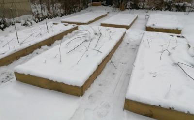 Сделайте это с грядками уже в феврале: два зимних приема для плодородной земли