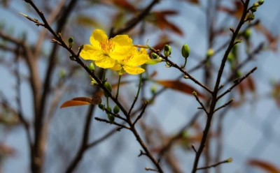 Тепло близко? Какая погода ожидается весной 2026-го