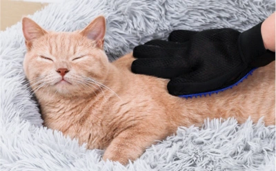 Как выбрать варежку-расческу для кошки: шерсть мурлыки перестанет летать по дому