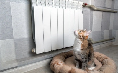 Если батареи стали хуже греть: уделяйте этому 25 минут дважды в год — и тепло вернется