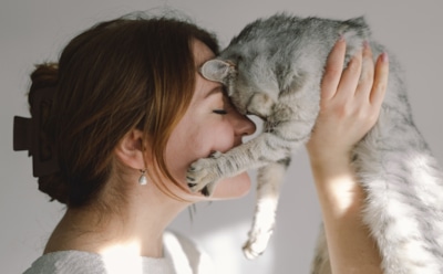 Как признаться в любви своей кошке: 5 способов сказать «люблю» на ее языке