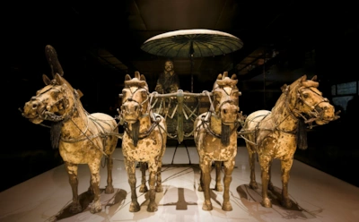 Так в Древнем Китае ухаживали за лошадьми: найдены свитки возрастом 2300 лет