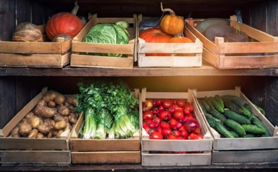 Как избавиться от плесени в погребе: этот мешок справится лучше вентиляции