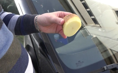 Лобовое стекло перестанет запотевать: как обычная картошка защищает от льда и влаги