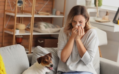 Опасность в собственной квартире: бытовые аллергены — симптомы и меры борьбы с ними