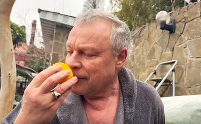 Сергей Жигунов увлекся садоводством: сладкий первый урожай без косточек