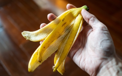 Комнатные цветы растут как на дрожжах: подкормка из банановой кожуры — секрет в ней