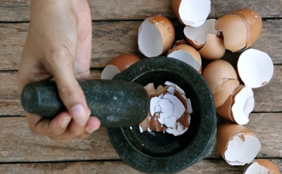 Экономные хозяйки скорлупу не выбрасывают: как яичные очистки помогают в быту