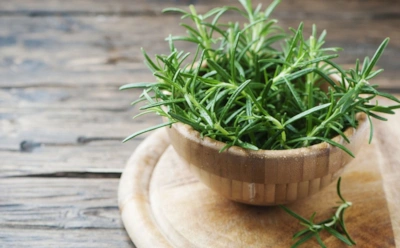 Положите розмарин у кровати — и вы удивитесь: эти веточки отлично влияют на сон
