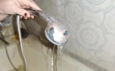 Если напор в душе пропал — виноват налет: всего один стакан консерванта вернет лейке мощь