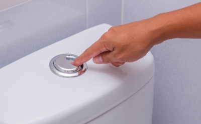 Двойная кнопка на унитазе — не для красоты: как отрегулировать слив и платить меньше