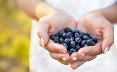 Суперфуд из леса: черника — не просто ягода, вот что ученые нашли в ее составе