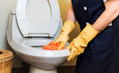 Рыжие подтеки в унитазе исчезают за 20 минут: это средство стоит копейки, а чистит как профи