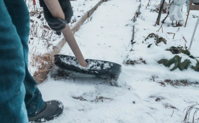 Если снега в саду больше 40 см — ждите проблем: эти деревья могут пострадать — и вот почему