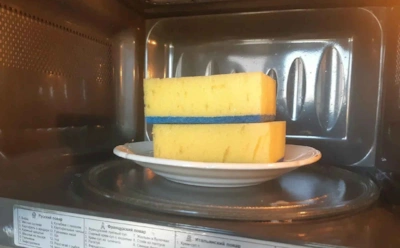 Губка для посуды «живет» 10 дней, дальше начинается кошмар: как правильно ее дезинфицировать