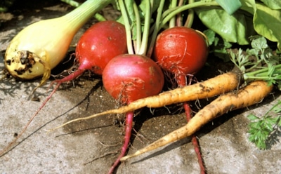 Это страшное слово «нитраты»: как они защищают от деменции — новые данные перевернули все