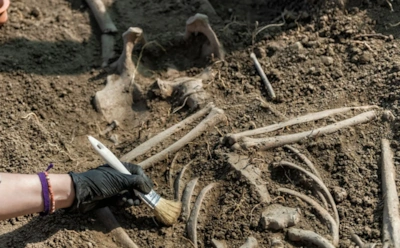 Анализ ДНК приоткрыл особенность каменного века: продуманная генеалогия — открытие на шведском острове